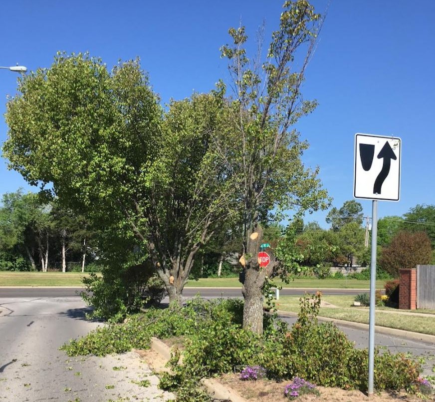 stuart lawn & tree service